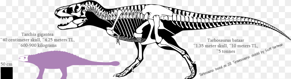 T Rex Structure, Animal, Dinosaur, Reptile, T-rex Free Png