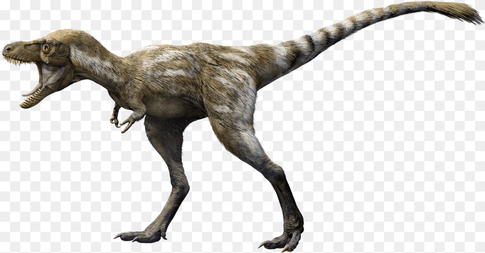 T Rex The Ultimate Predator, Animal, Dinosaur, Reptile, T-rex Png Image