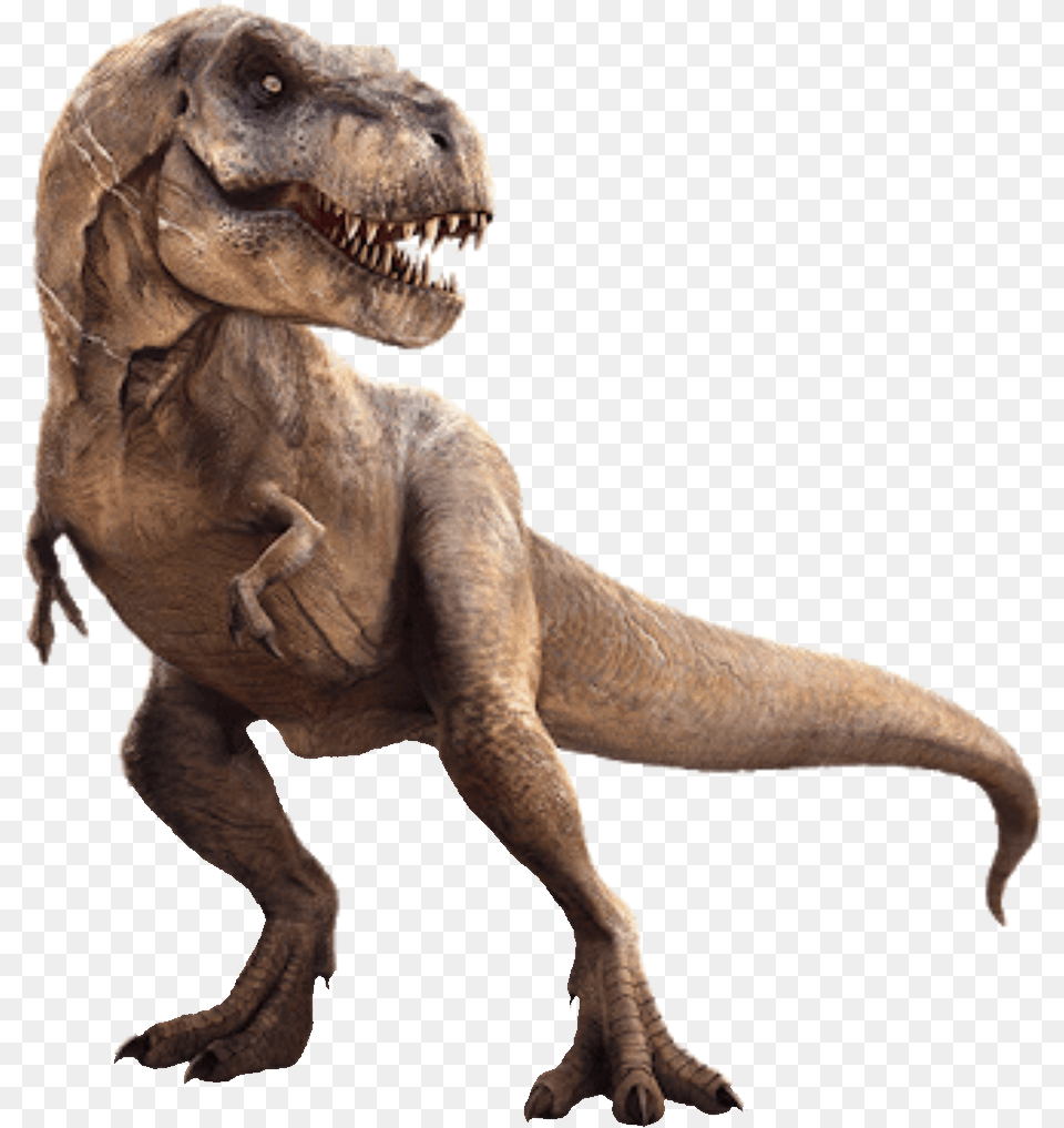 T Rex Background, Animal, Dinosaur, Reptile, T-rex Free Transparent Png