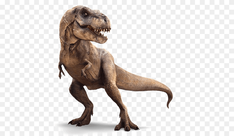 T Rex Transparent Background, Animal, Dinosaur, Reptile, T-rex Free Png