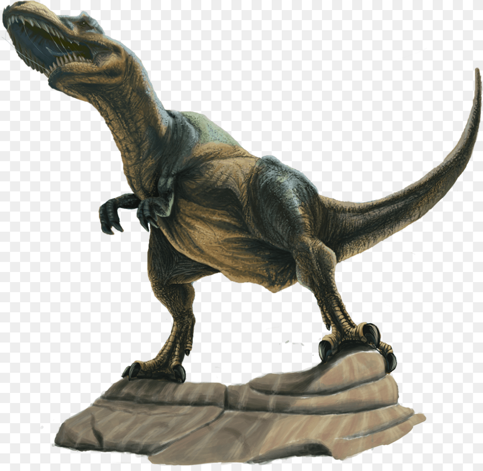 T Rex Tyrannosaurus, Animal, Dinosaur, Reptile, T-rex Png Image