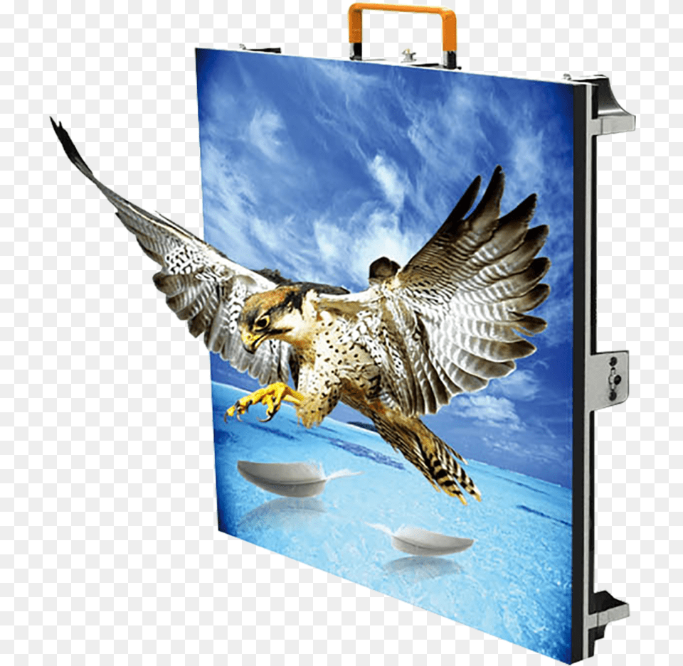 T Series U2014 New Day Led Indoor Led Cabinet, Animal, Bird, Bag Png Image