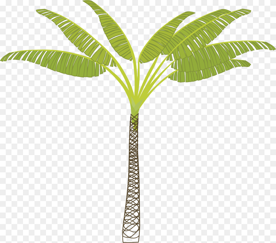 T Shaped Palm Tree, Leaf, Palm Tree, Plant, Vegetation Free Transparent Png