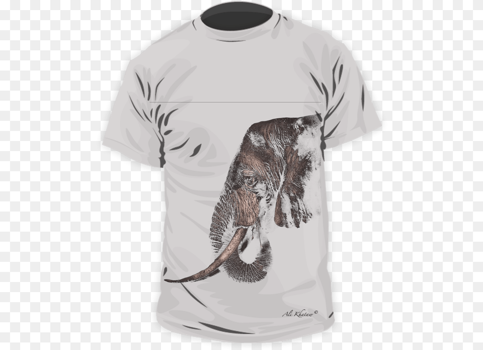 T Shirt, Clothing, T-shirt, Animal, Bear Png