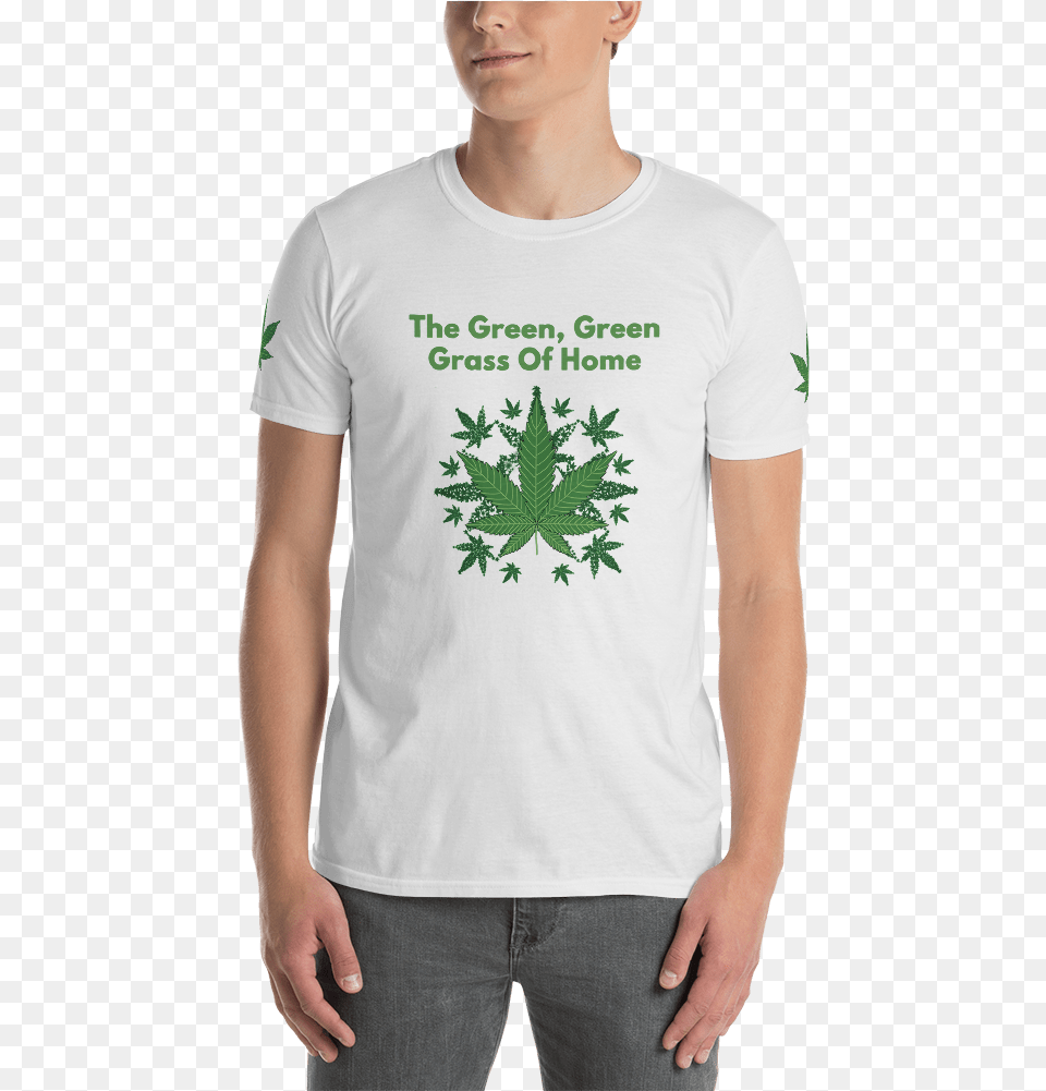 T Shirt, Clothing, Leaf, Plant, T-shirt Free Png Download