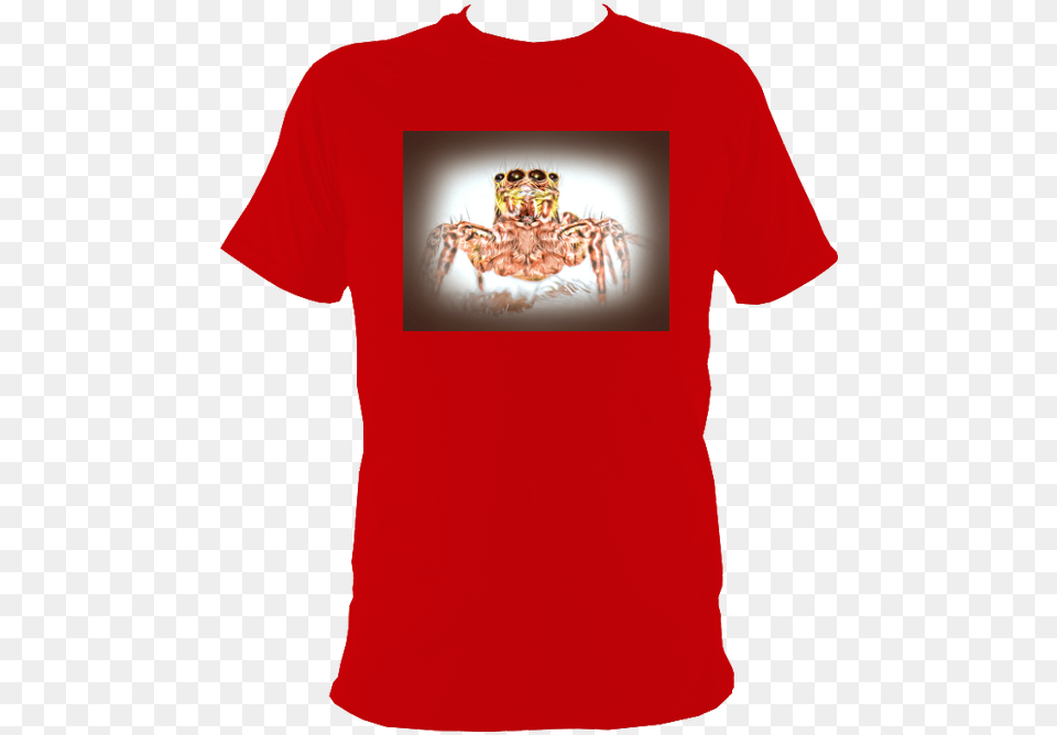 T Shirt, Clothing, T-shirt, Animal, Food Free Transparent Png