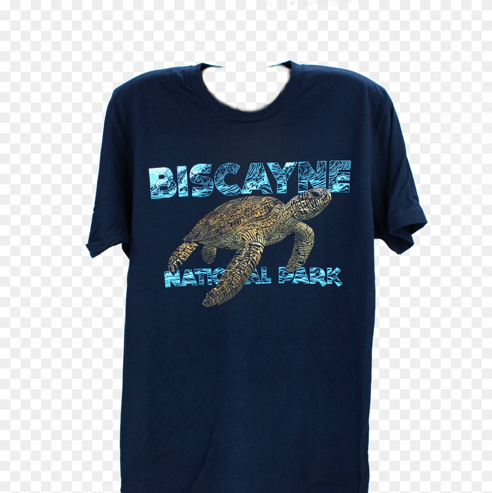T Shirt Biscayne Turtle Lg Kemp39s Ridley Sea Turtle, Animal, Clothing, Reptile, Sea Life Free Transparent Png