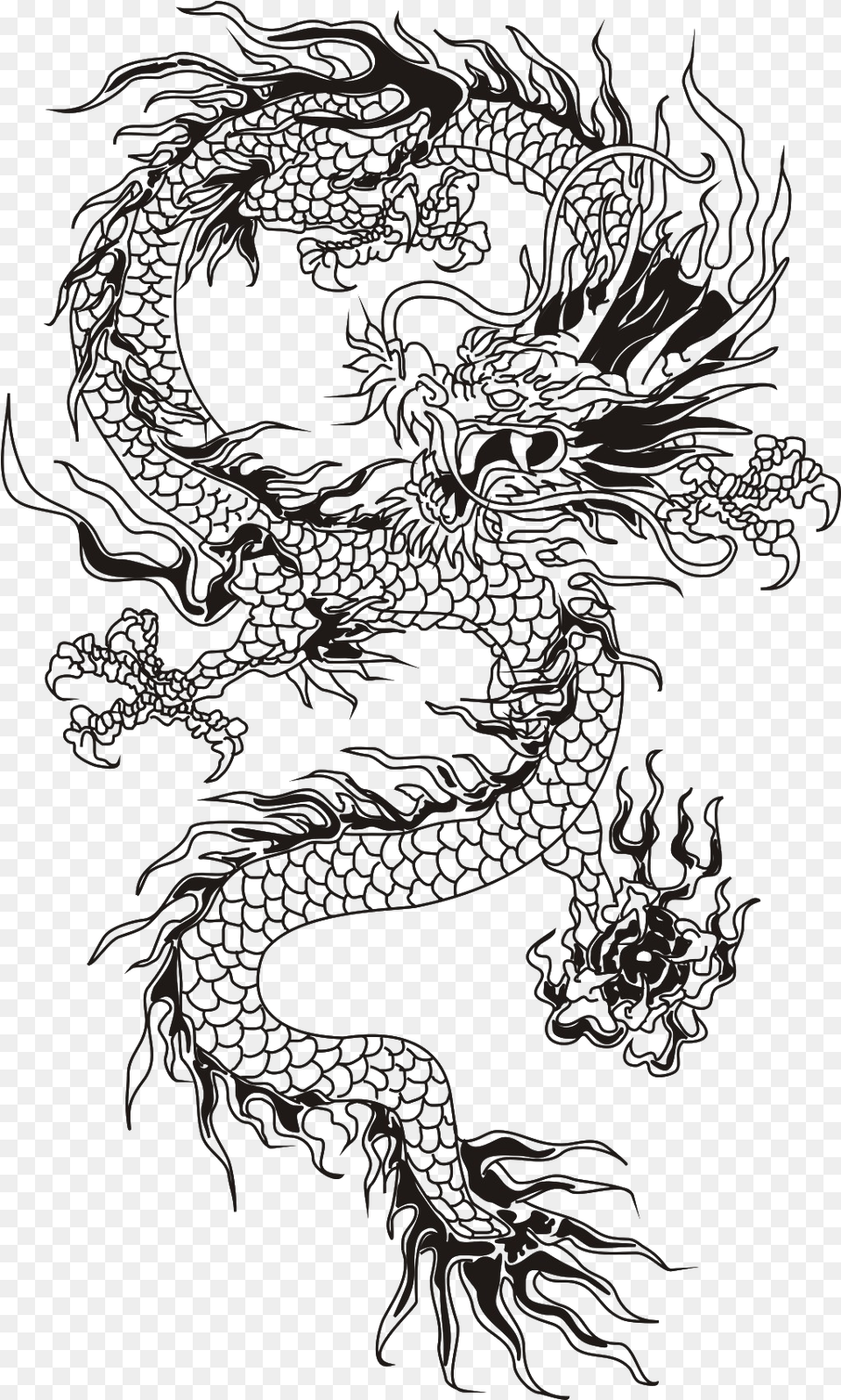 T Shirt Chinese Dragon Chinese Dragon Wireframes Snapchat Dragon Filter Png Image