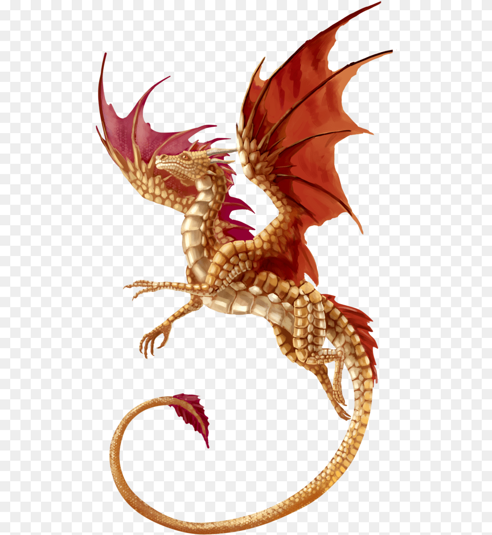 T Shirt Dragon Fantasy Background Dragon, Animal, Dinosaur, Reptile Free Transparent Png