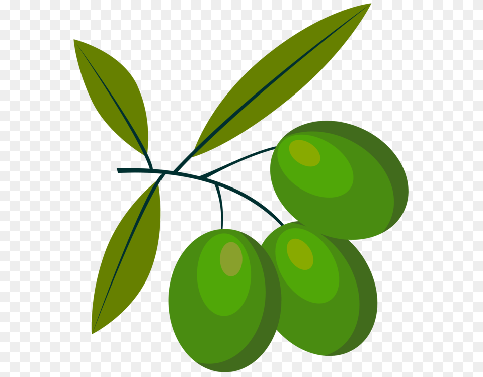 T Shirt Olive Oil Clothing Infant, Leaf, Produce, Plant, Food Png