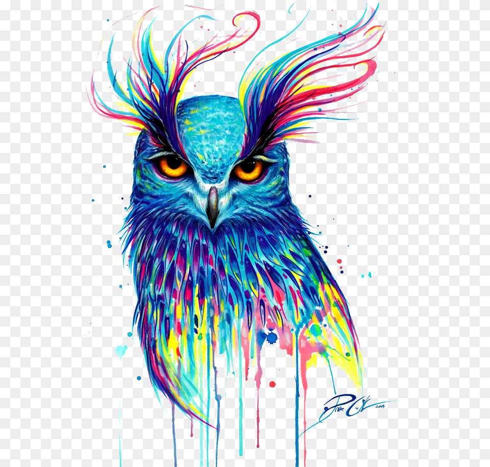 T Shirt Owl Painting Bird Drawing Download Image Pixie Cold Owl, Art, Graphics, Animal, Pattern Free Transparent Png