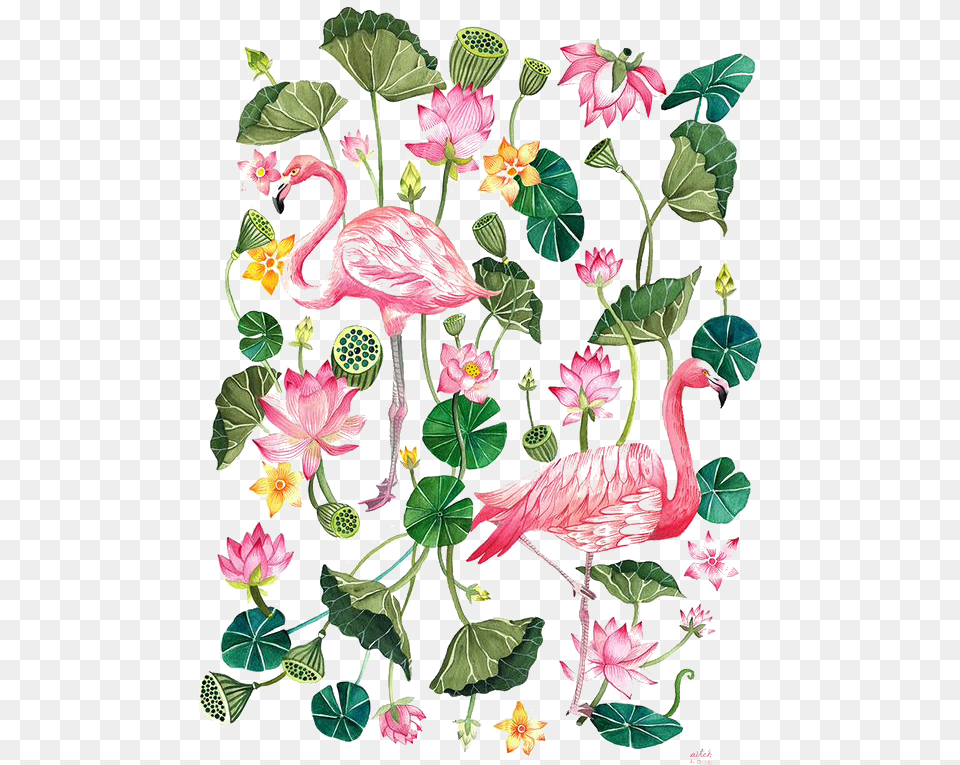 T Shirt Printing Flamingo Cartoon Illustration Download Flamingo Tropical, Plant, Art, Floral Design, Graphics Free Png