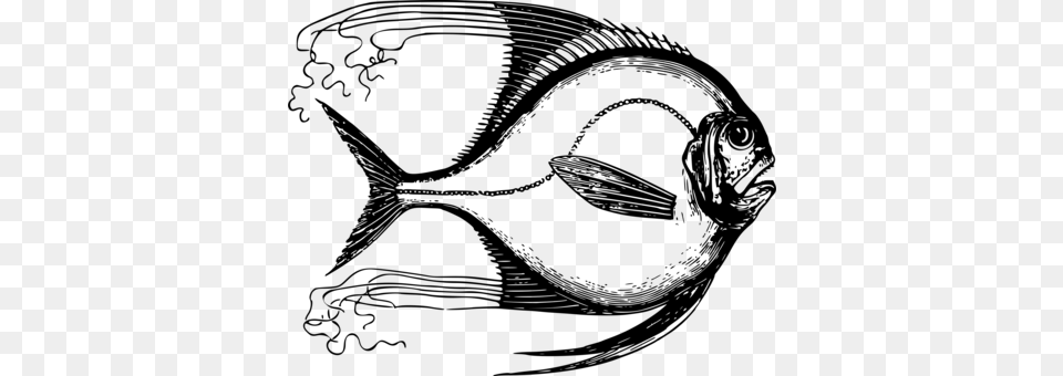 T Shirt Tropical Fish Drawing Moorish Idol Fish 539x739area Rug, Gray Png Image