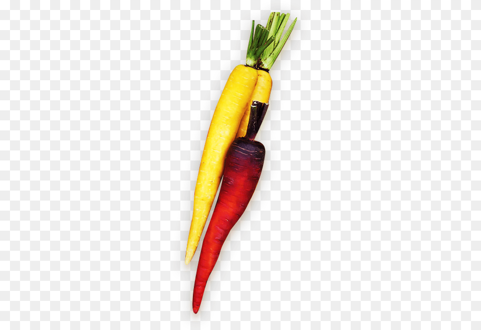Tabasco Pepper, Carrot, Food, Plant, Produce Png