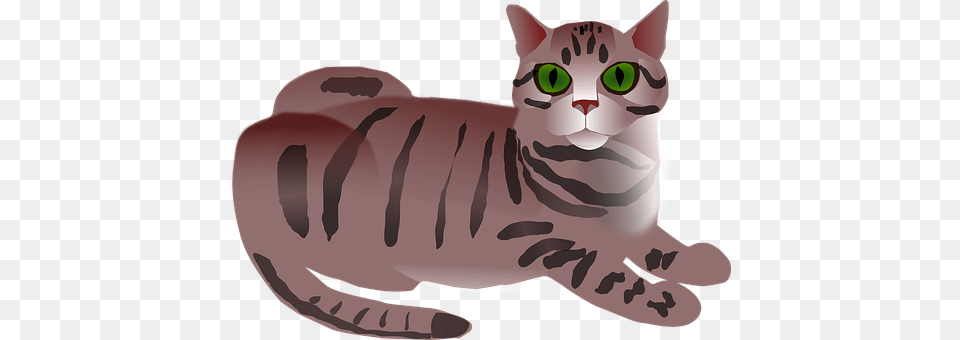 Tabby Animal, Cat, Mammal, Manx Free Transparent Png