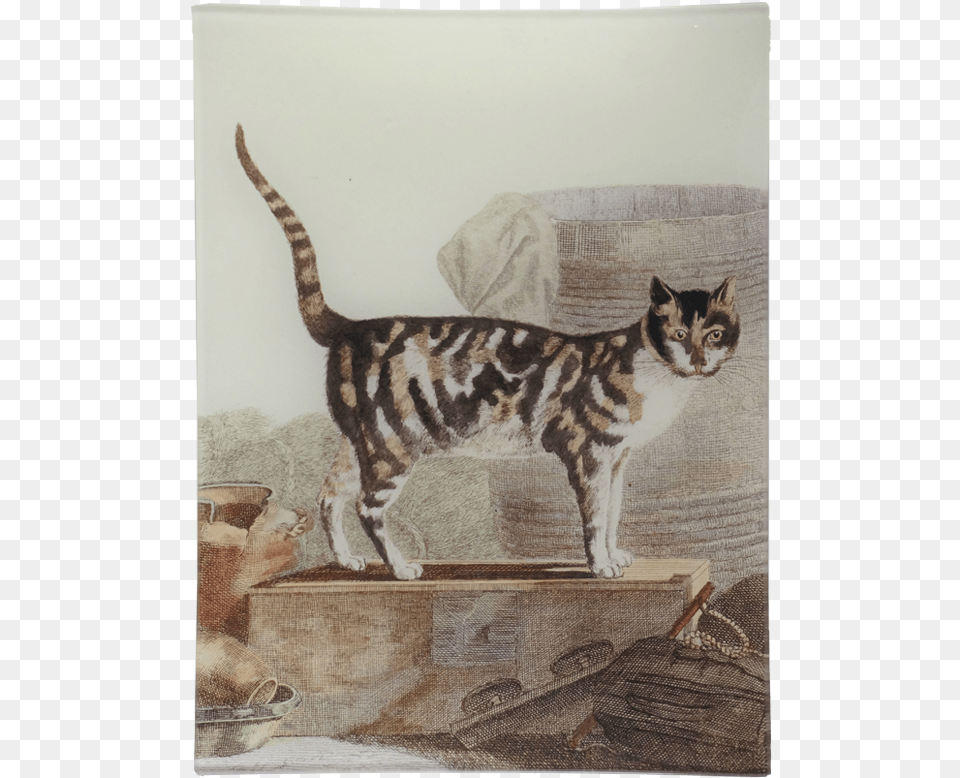 Tabby Cat, Art, Painting, Animal, Mammal Free Transparent Png