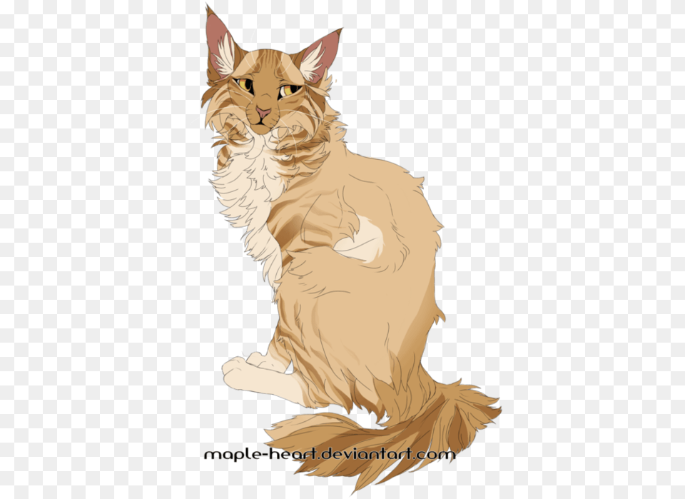 Tabby Cat, Angora, Animal, Pet, Mammal Free Transparent Png