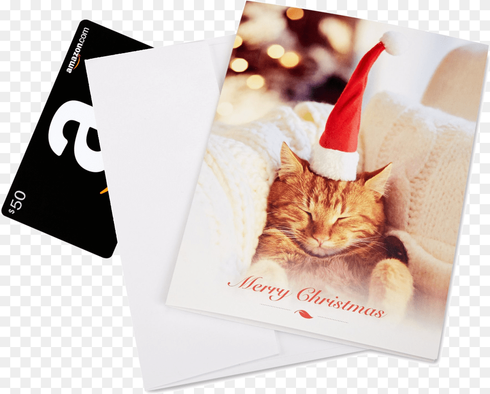 Tabby Cat, Clothing, Hat, Envelope, Greeting Card Png