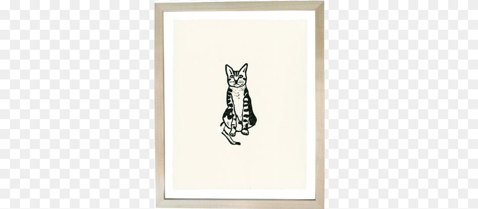 Tabby Cat Black Cat, Animal, Mammal, Pet, White Board Free Png
