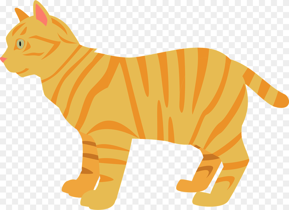 Tabby Cat Clipart, Animal, Mammal, Manx, Pet Free Png Download