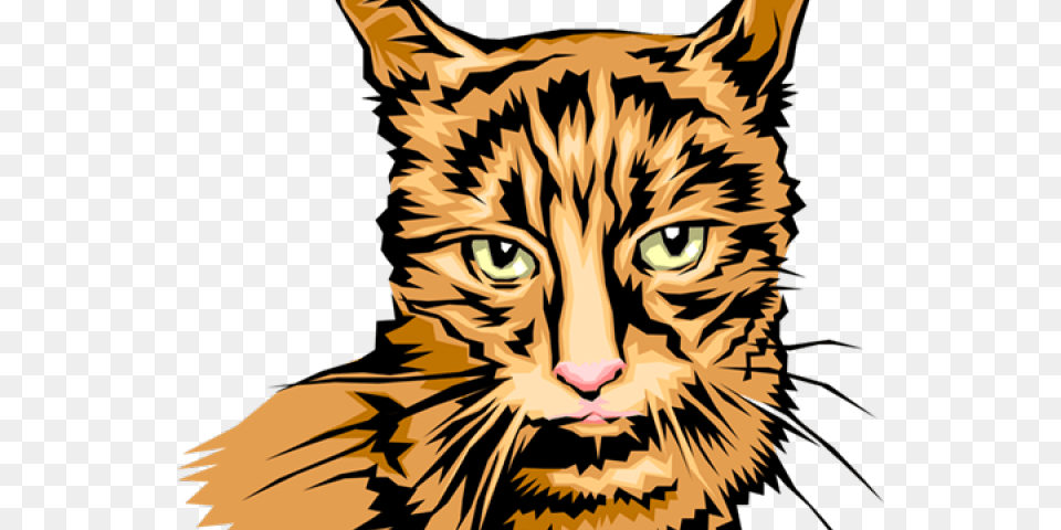 Tabby Cat Clipart Cat Head Cat Grabs Treat, Person, Face, Animal, Mammal Png