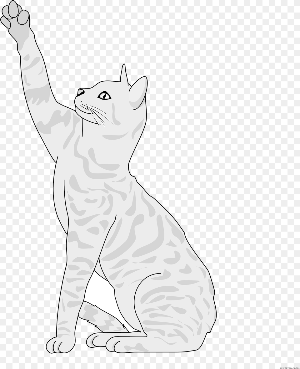 Tabby Cat Clipart Cat Tail Cartoon Cat Reaching Up, Animal, Mammal, Pet, Bear Png