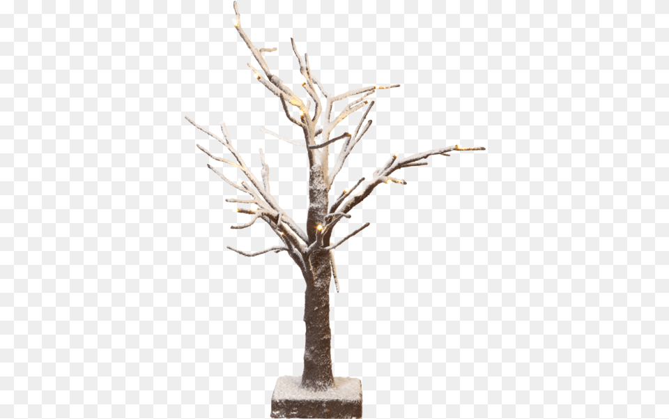 Table Decoration Tobby Tree Star Trading Tree, Plant, Wood, Potted Plant Png Image