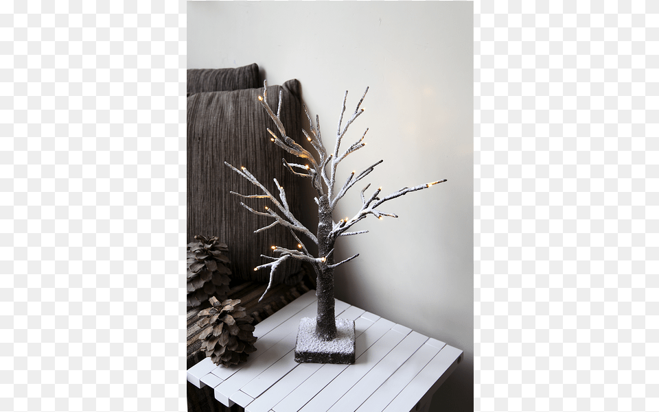 Table Decoration Tobby Tree Tobby Tree Bordsdekoration Brun Star Trading, Plant, Wood, Flower, Flower Arrangement Free Png