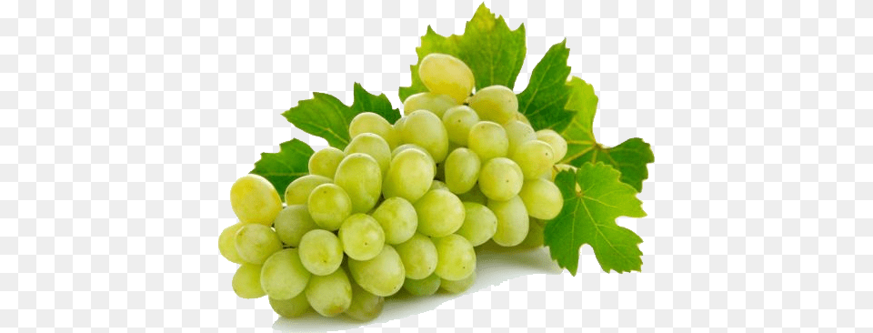 Table Grapes Indian Grapes, Food, Fruit, Plant, Produce Png
