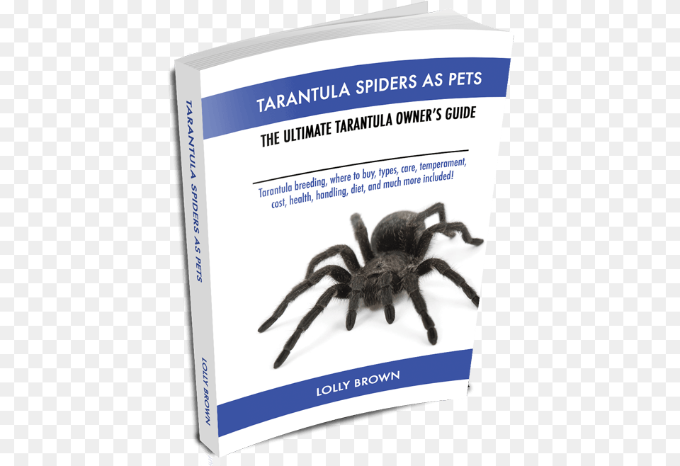 Table Of Contents Tarantula Spiders Pet Tarantula, Animal, Invertebrate, Spider, Insect Png Image