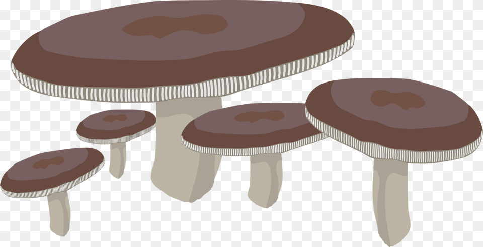 Tablestoolfurniture Flat Mushroom, Fungus, Plant, Agaric, Amanita Free Png Download