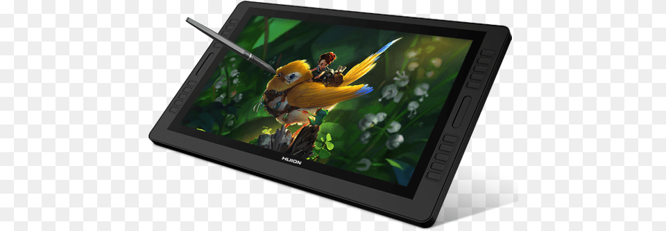 Tablet Computer, Electronics, Tablet Computer, Animal, Bird Free Png