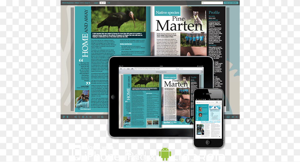 Tablet Computer, Wildlife, Phone, Mobile Phone, Mammal Free Transparent Png