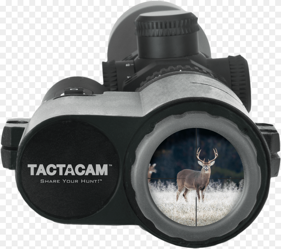 Tactacam Fts Mount, Camera, Electronics, Animal, Antelope Png Image