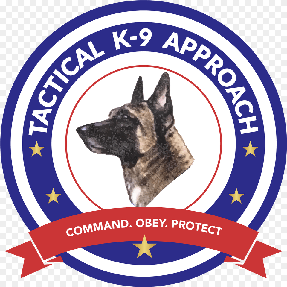 Tactical K9 Approach Old German Shepherd Dog, Animal, Canine, Mammal, Pet Png Image