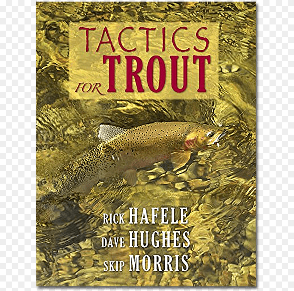 Tactics For Trout Trout, Animal, Fish, Sea Life Png Image