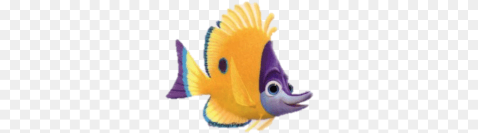 Tad Finding Nemo Yellow And Purple Fish, Animal, Sea Life, Angelfish, Shark Png Image