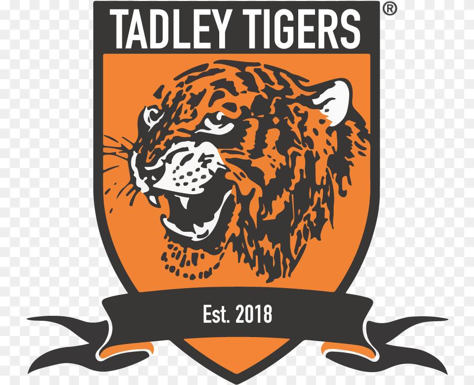 Tadley Tigers Fc Hull City Logo, Animal, Mammal Free Png Download