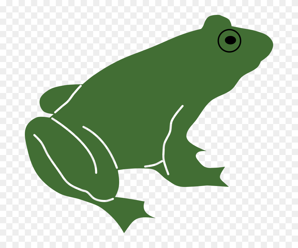 Tadpole Clipart Amphibian, Animal, Frog, Wildlife, Bear Free Transparent Png