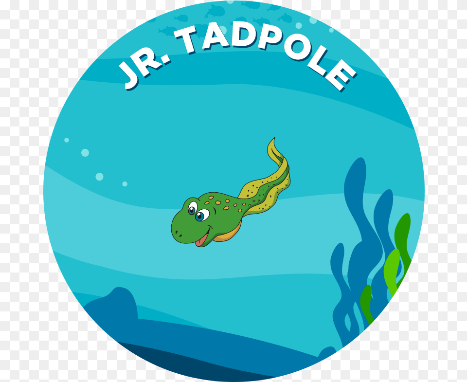 Tadpole Clipart Foot Tadpole In Water Clipart, Water Sports, Leisure Activities, Swimming, Person Free Png