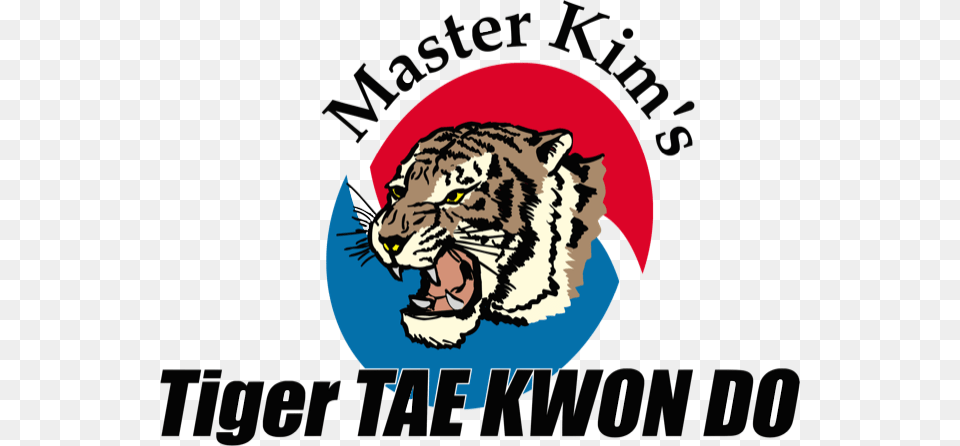 Taekwondo, Animal, Cat, Mammal, Pet Free Transparent Png