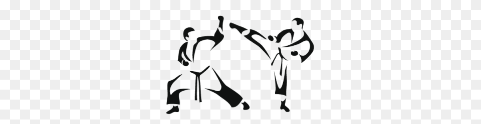 Taekwondo, Martial Arts, Person, Sport, Karate Free Transparent Png