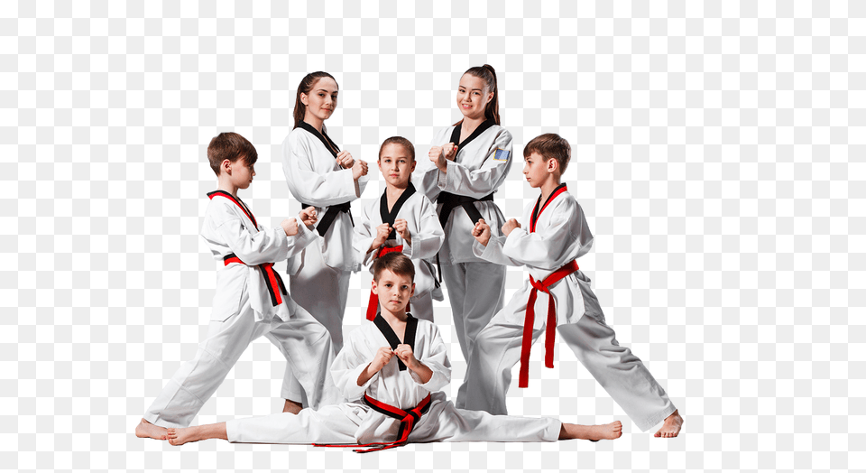 Taekwondo, Adult, Sport, Person, Martial Arts Free Png