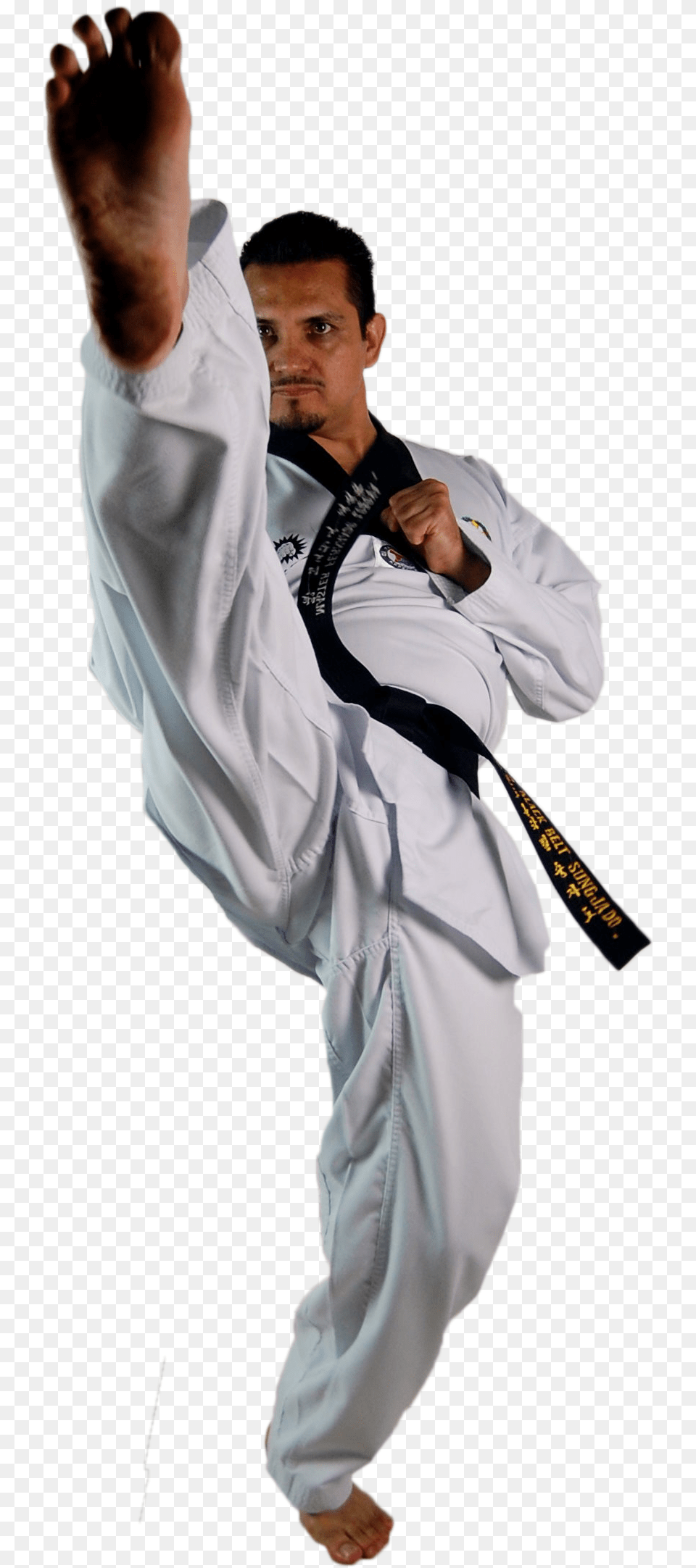 Taekwondo Taekwondo Persona, Karate, Martial Arts, Person, Sport Png