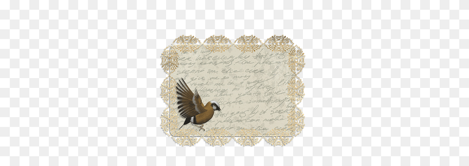 Tag Animal, Bird, Text Png Image