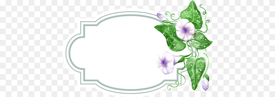 Tag Leaf, Plant, Flower, Herbal Png Image