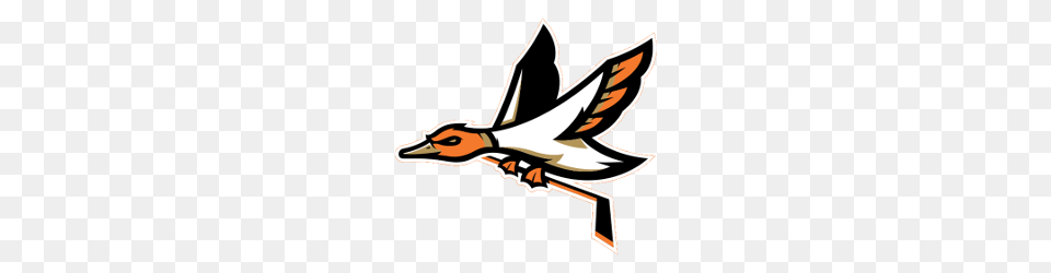 Tag Anaheim Ducks Concept Logos Sports Logo History, Animal, Goose, Waterfowl, Bird Png