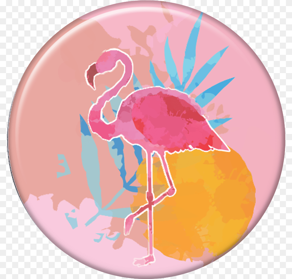 Tag Do Flamingo, Animal, Bird Free Png Download