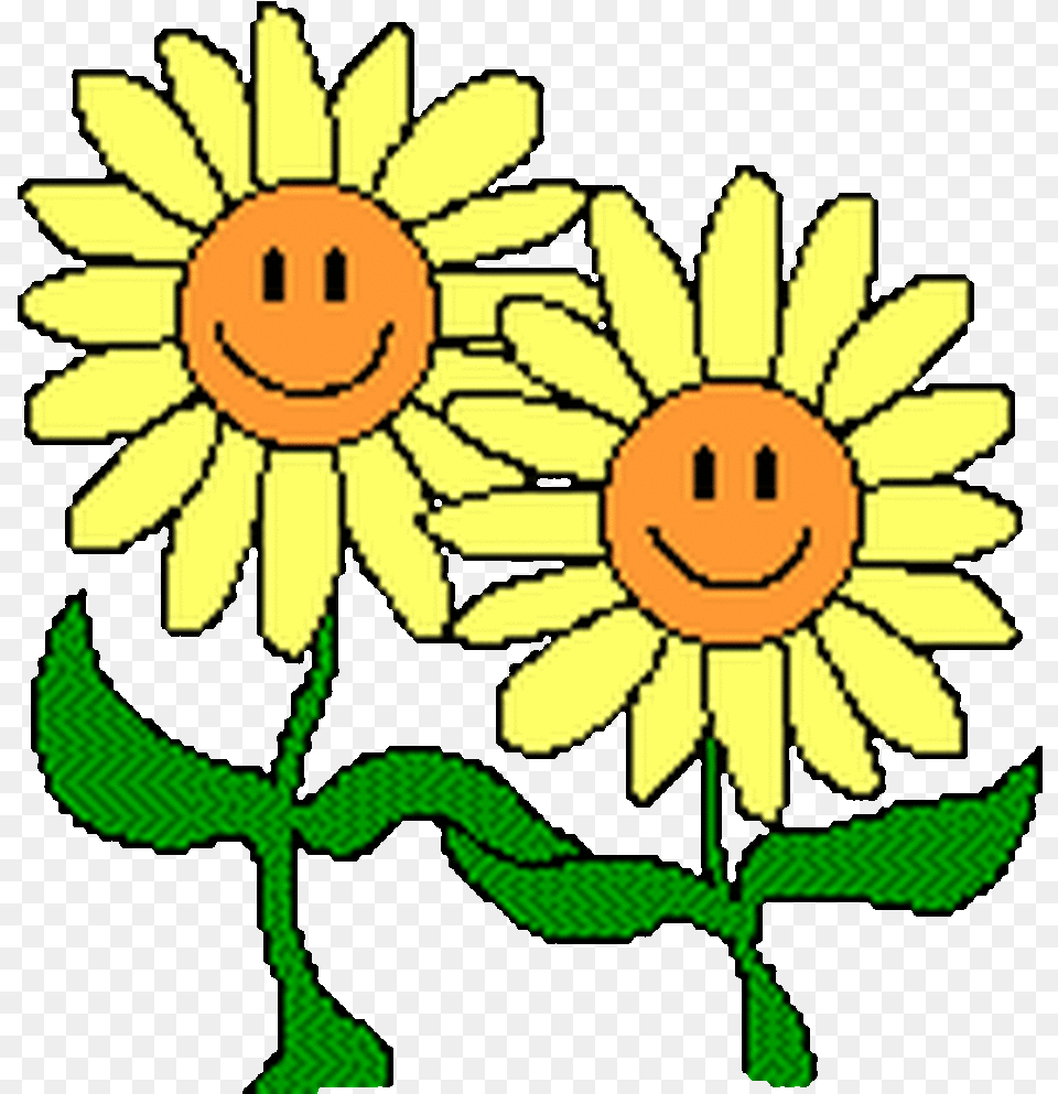 Tag For Dancing Bee Grandinetti Dribbble Animated Dancing Flowers Gif Clipart, Daisy, Flower, Plant, Sunflower Png Image