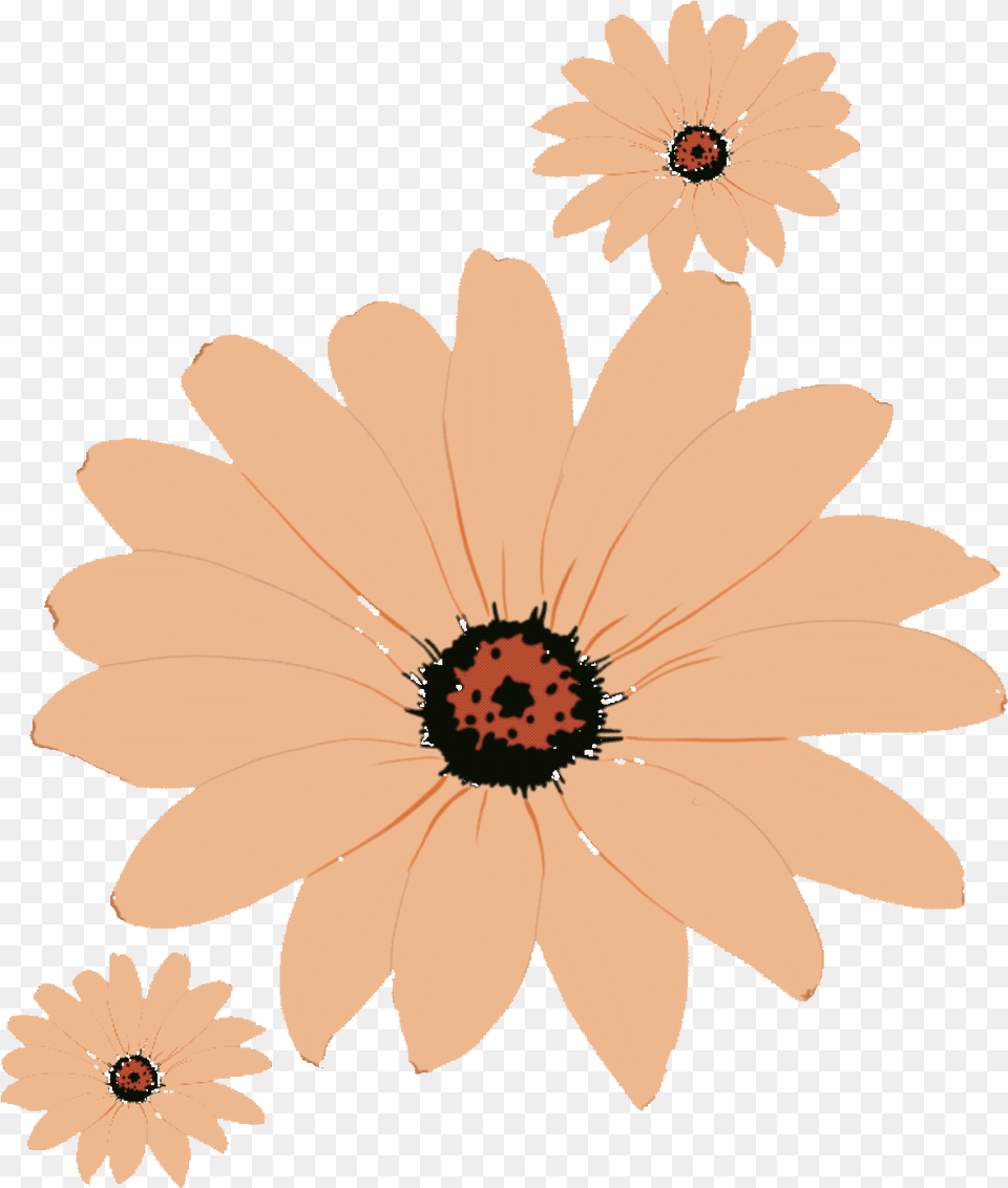 Tag For Dancing Joindiaspora Animated Flowers Girly, Anther, Daisy, Flower, Plant Free Png Download